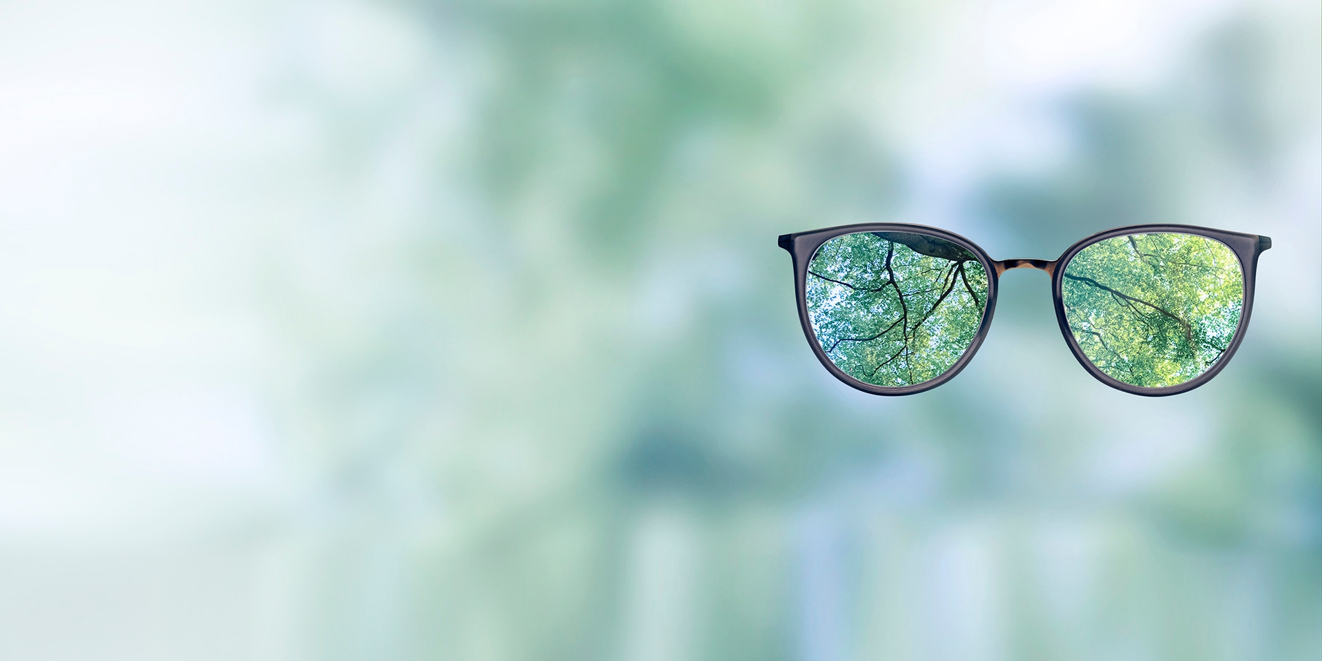Look through glasses to green forest